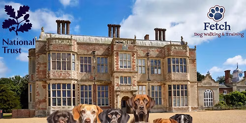 Fetch's Wellness Walkies-Felbrigg Fidos (In partnership with National Trust)
