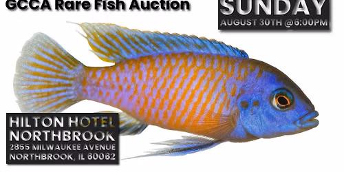GCCA Meeting - August Rare Fish Auction 30th @ 6pm