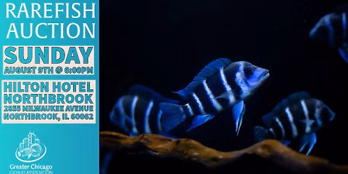 GCCA Meeting - August Rare Fish Auction 9th @ 6pm