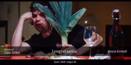 Lengyel sal\u00e1ta - avagy m\u0171v\u00e9szpara egy \u00fcl\u00e9sben