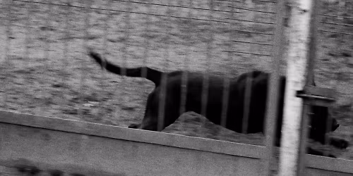 Betterov in M\u00dcNCHEN