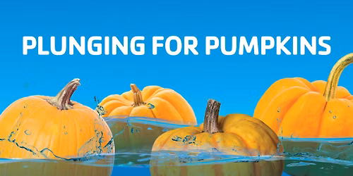 Floating Pumpkin Patch
