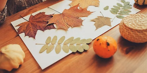 Family Woodland Discovery Sessions