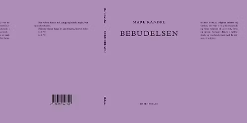 Udgivelsesfejring for Bebudelsen<33