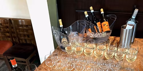 Babs' Grape Escape: Fun and Funky