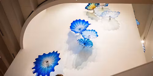 Sensory-Friendly Hours