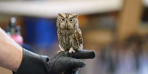 Family-Friendly Night Hike at Moccasin Lake Nature Park