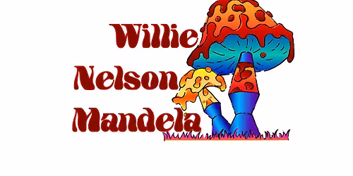 Willie returns to Park Street Tavern!