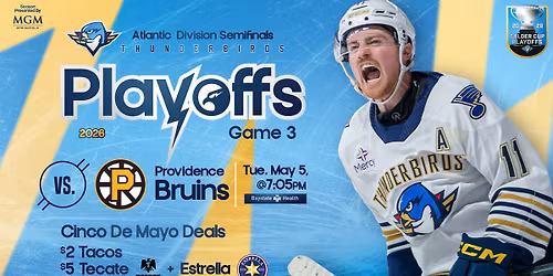 Game 3 - Atlantic Division Semifinals - Springfield Thunderbirds v. Providence Bruins