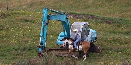 Windy Mare Club Day
