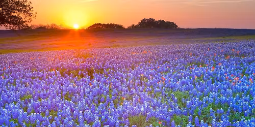 Fall Gospel Meeting - "An Apostle's Prayer" - Speaker: Dan Petty