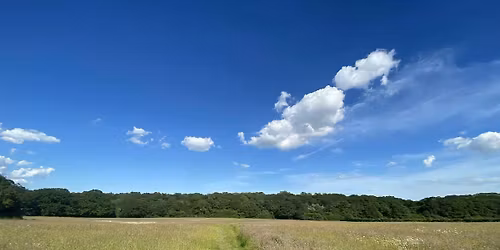 Walk & Talk Colchester | Construction Networking & Mental Health