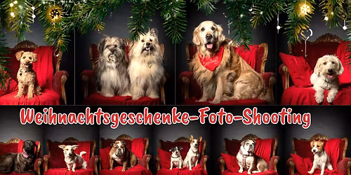 Weihnachtsgeschenke-Foto-Shooting