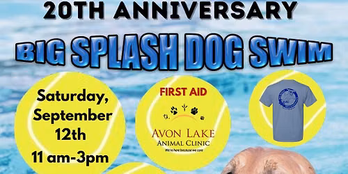 20th Annual Big Splash Dog Swim