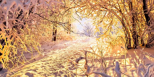 Festival of Frolic and Reflection