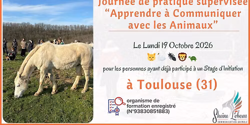 Communication Animale \ud83d\udc31\ud83d\udc39\ud83d\udc34 Journ\u00e9es de pratique supervis\u00e9e avec les animaux - vers Toulouse (31)