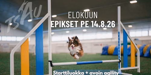 TSAU:n elokuun ep\u00e4viralliset kilpailut (starttiluokka + avoin agility)