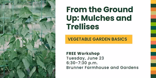 From the Ground Up: Mulches and Trellises - Vegetable Garden Basics