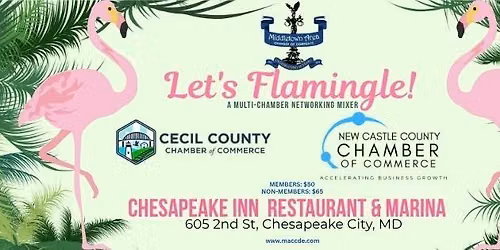 Let's Flamingle! A Multi-Chamber Networking Mixer