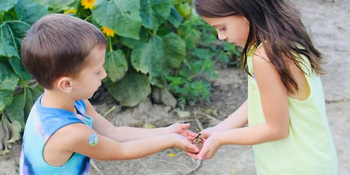 Butterfly Release Days at Kelkenberg Farm