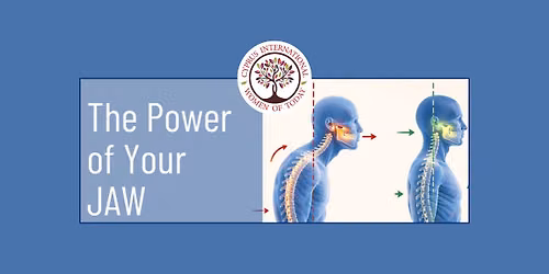 \ud83e\uddb7 The Power of Your Jaw