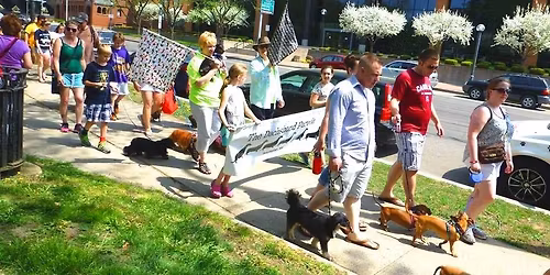 24th Annual Rochester Dachshund Parade
