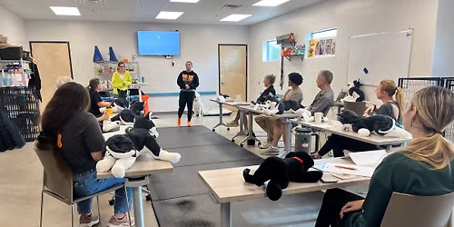 Pet CPR\/First Aid Class