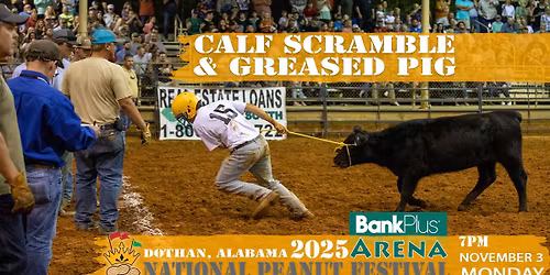 Greased Pig and Calf Scramble - National Peanut Festival