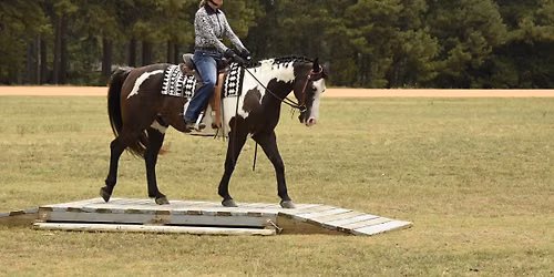 2026 L1-ONLY! TWO SEPARATE Schooling Shows (and clinics) with Tracey Erway-- Tryon NC area