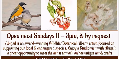 Open Studio Sundays