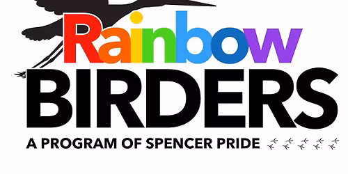 Rainbow Birders - It's a bird, it's a raptor, now what?