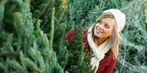 Weihnachtsbaumverkauf - Aktionstage