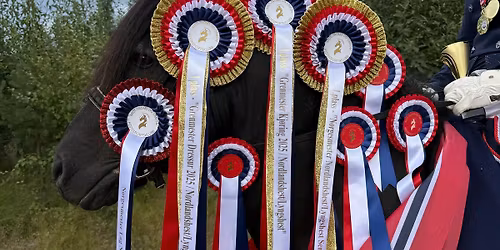 NM for Nordlandshest\/Lyngshest 25-28 juni 2026, Stall Holand, Bod\u00f8, Nordland