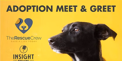 Adoption Meet & Greet at Insight Brewing