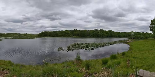 Tohickon Watershed Association - Lake Towhee Habitat Improvement Project #2