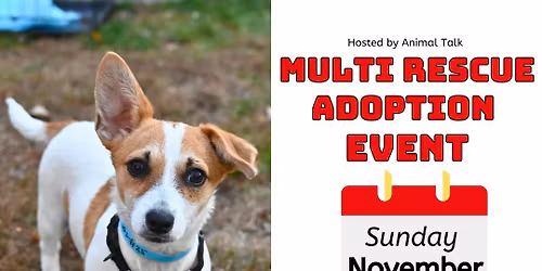 Multi Rescue Adoption Event @ Cowesett In
