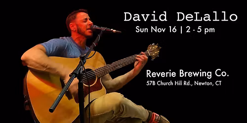 David Solo @ Reverie Brewing Co.