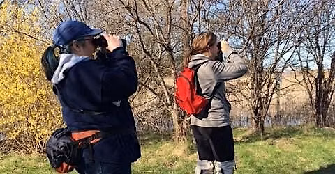 Spring Migration Hike - Introduction to Birding Saturday May 9th