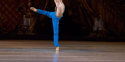 Pas de deux Ballet Intensive