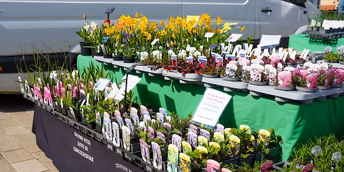 Local Produce Market