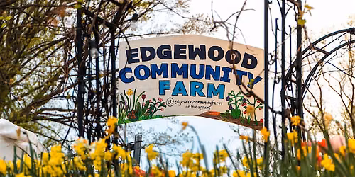 Fall Gardening at Edgewood Community Farm