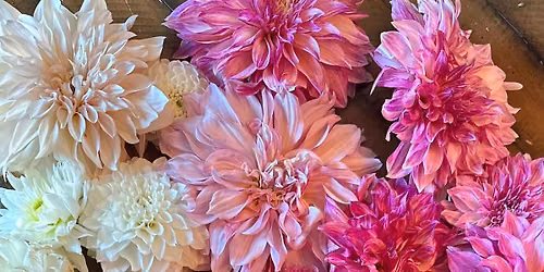 Heartwood Preserve Farmers Market