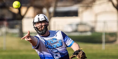 Spring Adult Softball Leagues