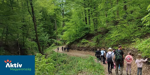 Csal\u00e1di \u00e9lm\u00e9nyt\u00fara a R\u00e1m-szakad\u00e9kban