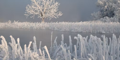 Tag med p\u00e5 nissejagt mens juleg\u00e5sen steger