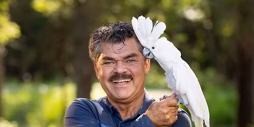 TRYLLESHOW MED DAVIDO