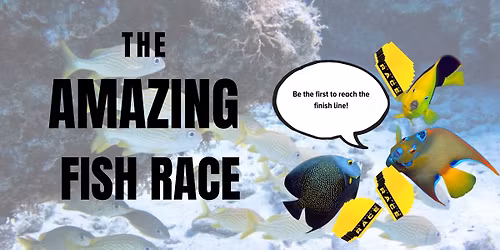 Ocean After Hours- Amazing Fish Race