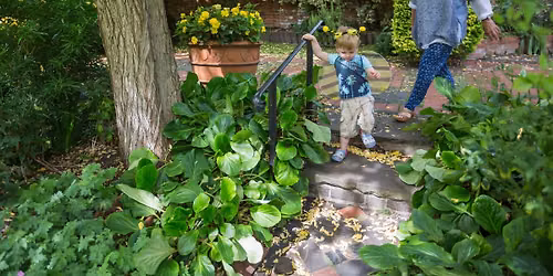Family friendly fun at Greyfriars this summer