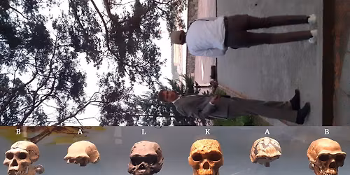 BalkAB Hotell Reimersholme 13 november 2025