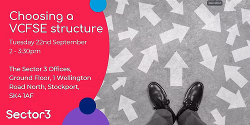 Choosing a VCFSE group structure (in person)